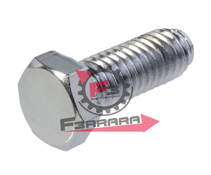 VITE 6 X 16 TESTA ESAGONALE ZINCATA