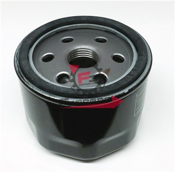 FILTRO OLIO HF565 CHAMPION GP800