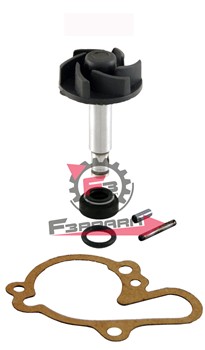 KIT POMPA H2O MINARELLI AM345/6