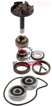 KIT POMPA H2O BEVERLY 250 04/05