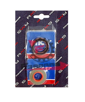 KIT REVISIONE BANCO MOTORE AM345/6