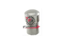 PERNO PULEGGIA FRIZIONE CONDOTTA ZIP