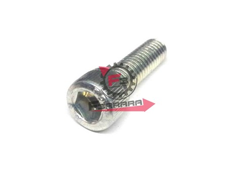 VITE FISS. COLL M6X20 APR. SRDITECH