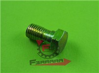 VITE TUBO FLESSIBILE APE MP 601