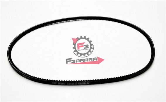 CINGHIA SI SENZA VARIATORE PIAGGIO