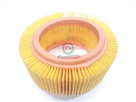 FILTRO ARIA TM703 BENZINA-APE CAR P2