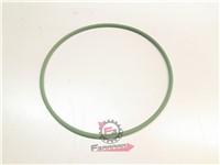 GUARNIZIONE ALB.CAMME APE POKER/TM