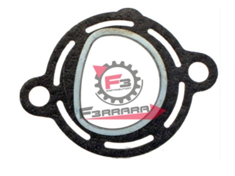 GUARNIZIONE SCARICO APE TM - MP