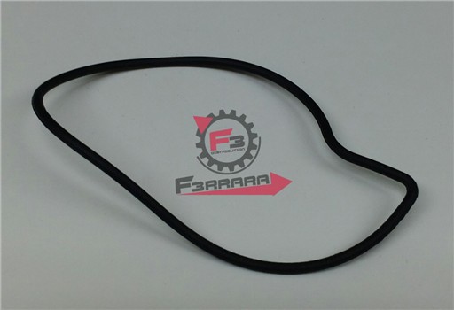 GUARNIZIONE COPERCHIO POMPA BEVERLY