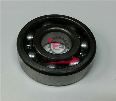 CUSCINETTO 6304 ANTERIORE POKER