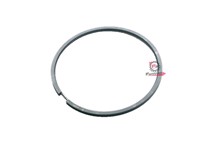 SEGMENTO 72 X2,5 RASCHIAOLIO BEVERLY