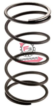MOLLA VARIATORE LIBERTY