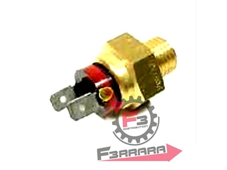 TERMOINTERRUTORE LIBERTY 125/250