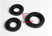 S.PARAOLIO MOTORE VESPA 125 48/52