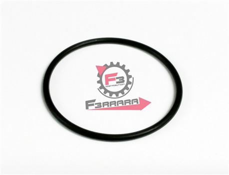 ANELLO O-RING POMPA ACQUA LEONARDO