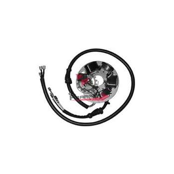 STATORE DUCATI VESPA 125 ET3 186974