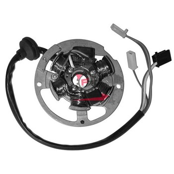 STATORE SCARABEO 50