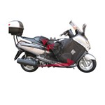 TERMOSCUD SYM JOE MAX 125/250-EVO300