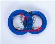 PARAOLI MOTORE MINIMOTO TEFLON (SR)