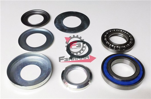 GRUPPO RALLE STERZO GP 800