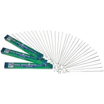 RAGGI 300X2,0 INOX CON NIPPLES 144PZ