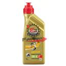 CASTROL POWER 1 RACING 4T 10W 40 1LT