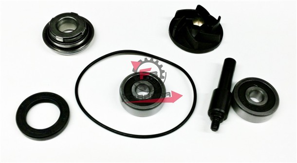 KIT POMPA H2O PIAGGIO 250 06