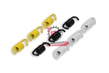 MOLLE FRIZIONE CP1 (SR) MALOSSI