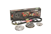VARIATORE YAMAHA-MINARELLI 50 TROPY