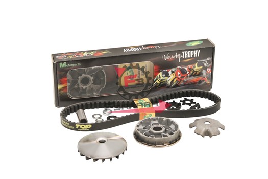 VARIATORE YAMAHA-MINARELLI 50 TROPY
