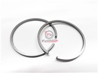 SEGMENTI 48 X 2,5 GR/ESTERNO (SR)