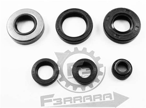 PARAOLI MOTORE MINARELLI AM6 (SR)