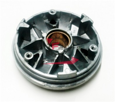 VARIATORE SR / SCARABEO DITECH
