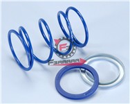 MOLLA VARIATORE PIAGGIO D3,9