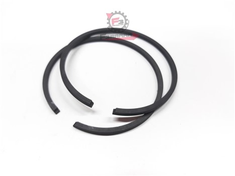 SEGMENTO 57,8 X 2,5 GR/ESTERNO