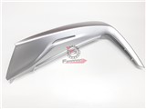 CHIUSURA SCUDO SX MEDLEY