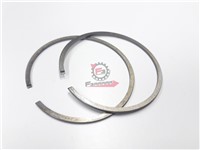 SEGMENTI 57,8 X 1,5 GR/ESTERNO (SR)