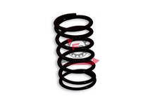 MOLLA VARIATORE APRILIA NERA