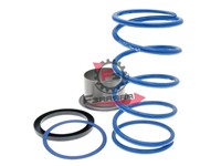MOLLA VARIATORE GILERA GP 800