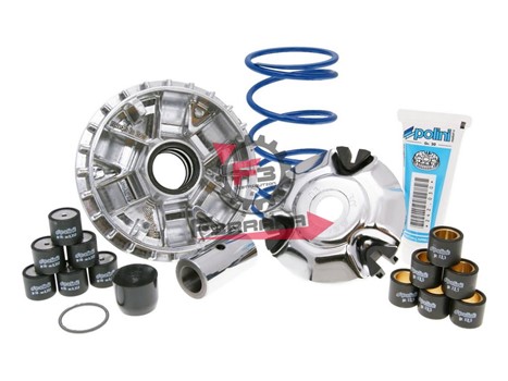 VARIATORE PIAGGIO 125 LEADER POLINI
