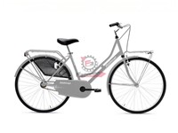 BICI OLANDA 24 DONNA 1V ARGENTO