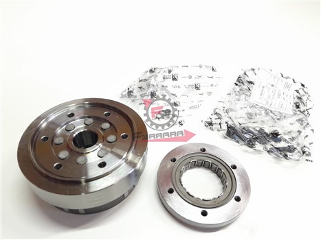 ROTORE C/RUOTA LIBERA VESPA GTS-X10