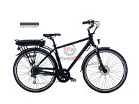 BICI ELETTRICA 28 PERSES MAN GRIGIO