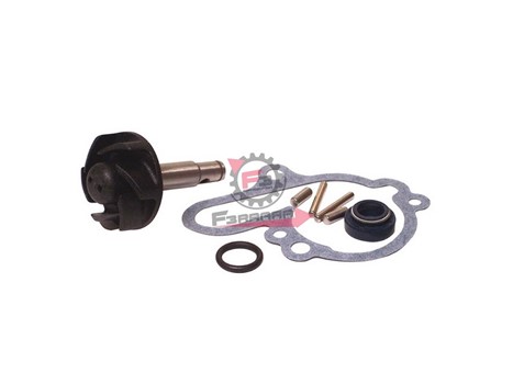 KIT POMPA H2O MINARELLI AM3-4-5-6