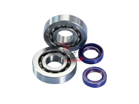 KIT REVISIONE BANCO PIAGGIO 50