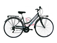 BICI CTB 28 DONNA 6V NERO/VERDE