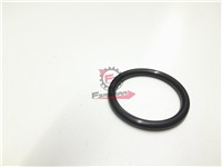 ANELLO O-RING PORTER BENZINA MAXXI