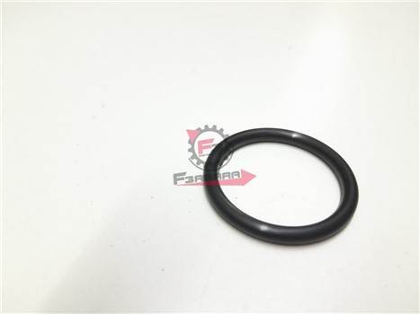 ANELLO O-RING PORTER BENZINA MAXXI