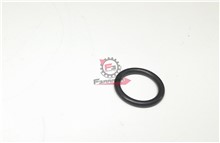ANELLO O-RING PORTER BENZINA