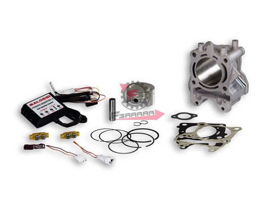 CILINDRO HONDA SH 125 D.61 MALOSSI